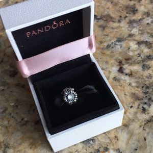 Pandora Charm